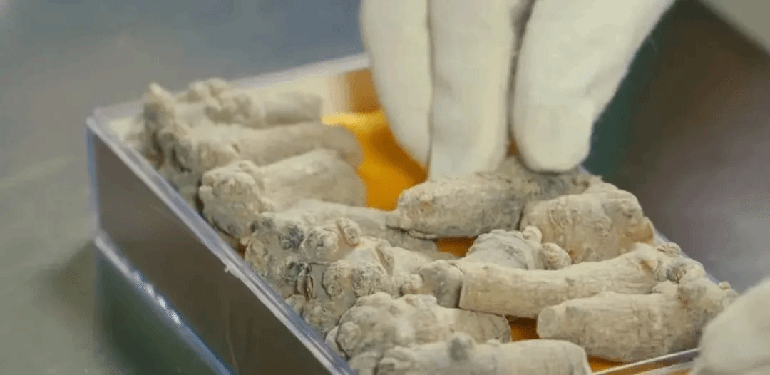 首页- 尊龙集团中国官网入口