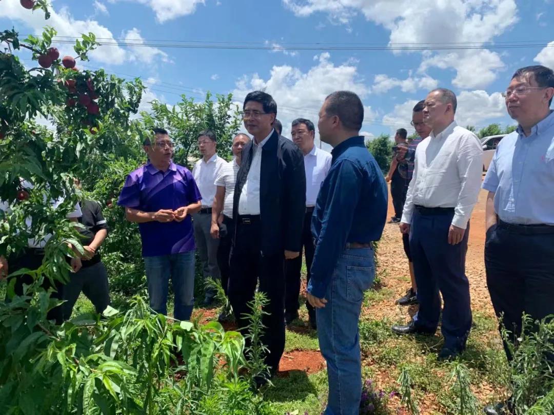 首页- 尊龙集团中国官网入口