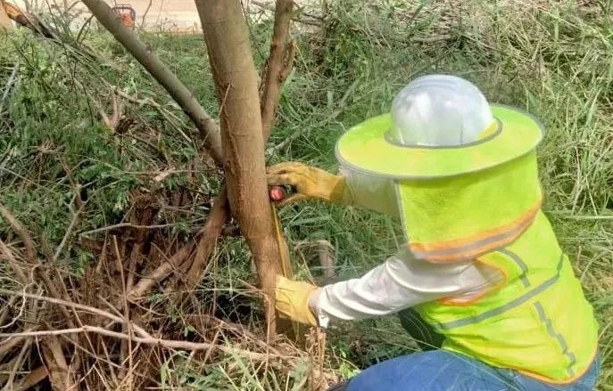 首页- 尊龙集团中国官网入口
